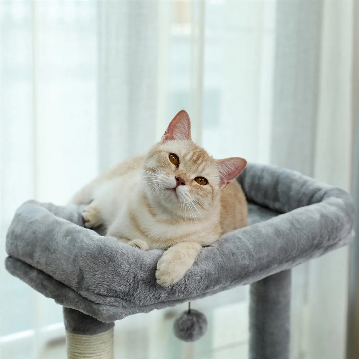 56" Cat Tree for Indoor Cats Cat Condos for Adult Cats with Padded Plush Perch and Cozy Basket Cat Tower for Large Cats , Gray