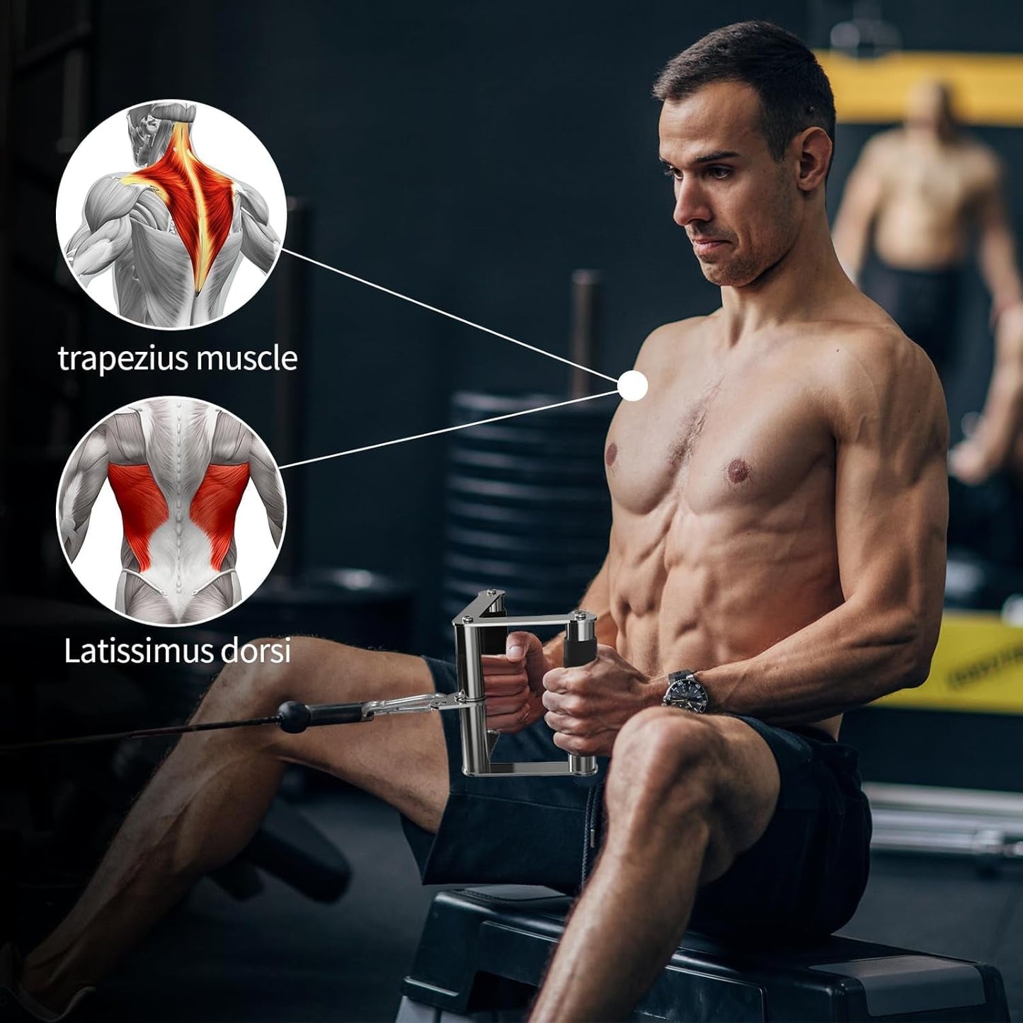 Cable Machine Attachment, LAT Pulldown Attachments, Cable Attachments for Gym, Home Gym Accessories - myshop