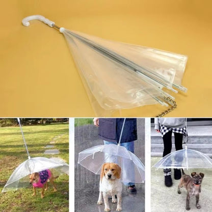Creative Teddy Poodle Small Dogs Leading Umbrellas Walking Dogs Traveling Out Dogs Waterproof Poncho Pet Products - myshop