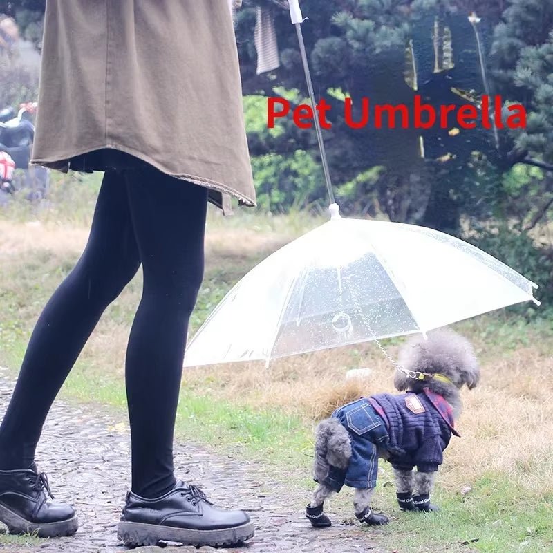 Creative Teddy Poodle Small Dogs Leading Umbrellas Walking Dogs Traveling Out Dogs Waterproof Poncho Pet Products - myshop