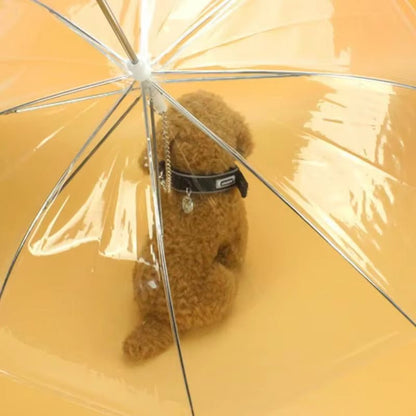 Creative Teddy Poodle Small Dogs Leading Umbrellas Walking Dogs Traveling Out Dogs Waterproof Poncho Pet Products - myshop