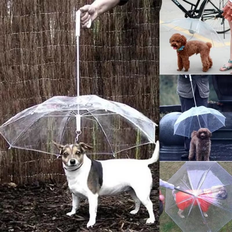 Creative Teddy Poodle Small Dogs Leading Umbrellas Walking Dogs Traveling Out Dogs Waterproof Poncho Pet Products - myshop